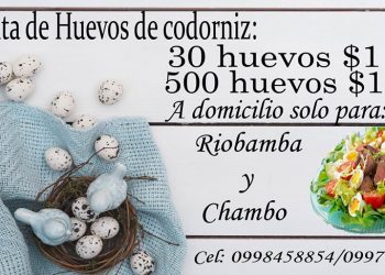 Venta de Huevos de Codorniz