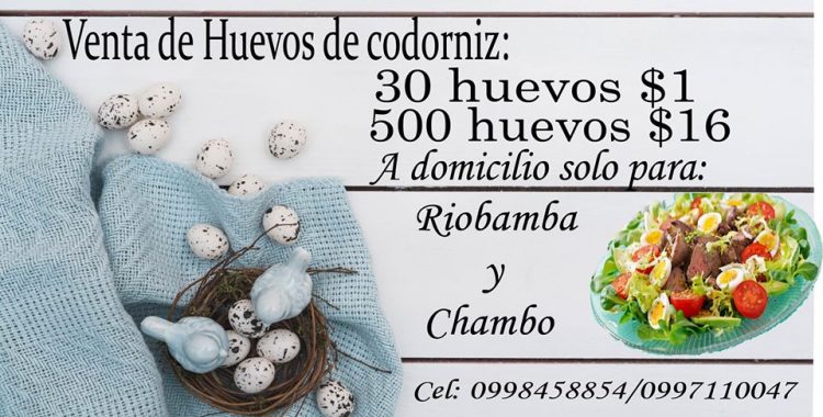 Venta de Huevos de Codorniz